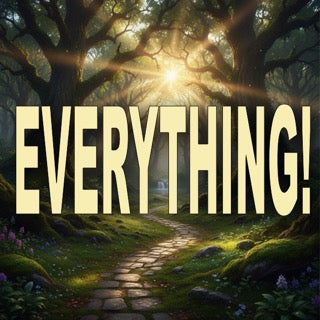 Everything currently for sale on our store!